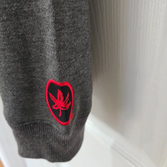 Men's Ohio State Buckeyes Pullover Hoodie Embroidered Gray Red Sz Large NWT - Picture 7 of 10